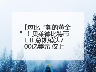 堪比“新的黄金”！贝莱德比特币ETF总规模达700亿美元 仅上市一年多